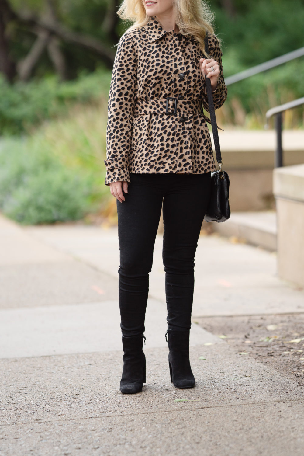 Petite Fashion and Style Blog | Ann Taylor Cheetah Dot Short Trench