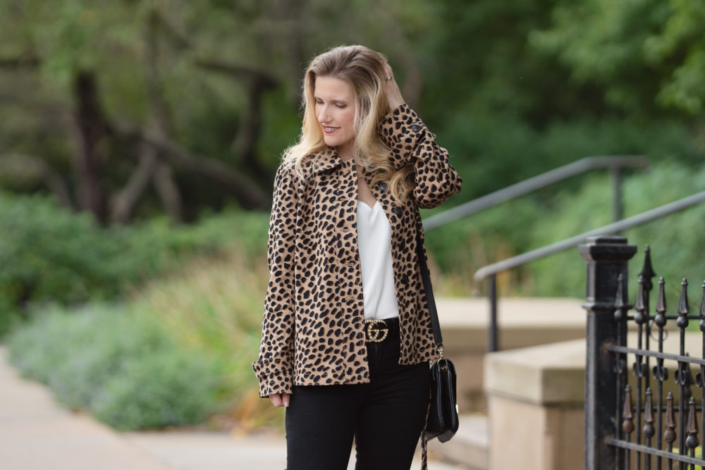 Petite Fashion and Style Blog | Ann Taylor Cheetah Dot Short Trench